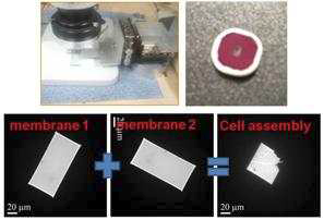 SiNx membrane을 접합하여 제작한 cell