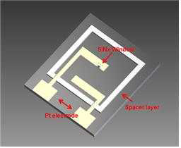 Electrical membrane의 평면도