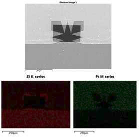 MEMS공정을 통해 제작된 electrical membrane의 SEM 이미지 와 EDS 분석 결과