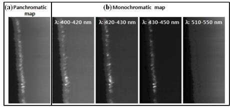 음극형광 홀더 소프트웨어를 활용한 분석 (a) Panchromatic map, (b) Monochromatic map