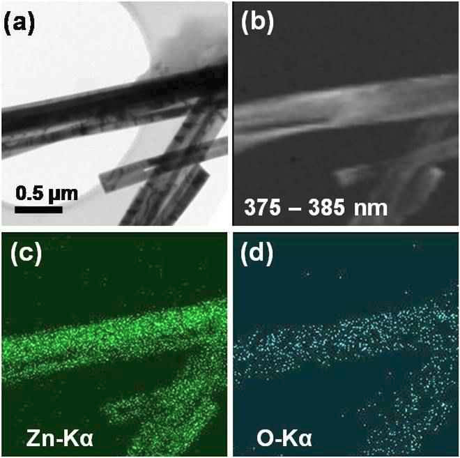 동일한 영역에서 획득한 ZnO 나노와이어의 (a) TEM 이미지, (b) CL monochromatic map, (c~d) 각 Zn-Kα, O-Kα에 해당하는 EDS map