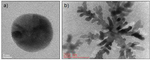 액체방 내 Au 나노결정의 성장 거동 (a) 구형의 나노입자, (b) 덴드라이트 형상
