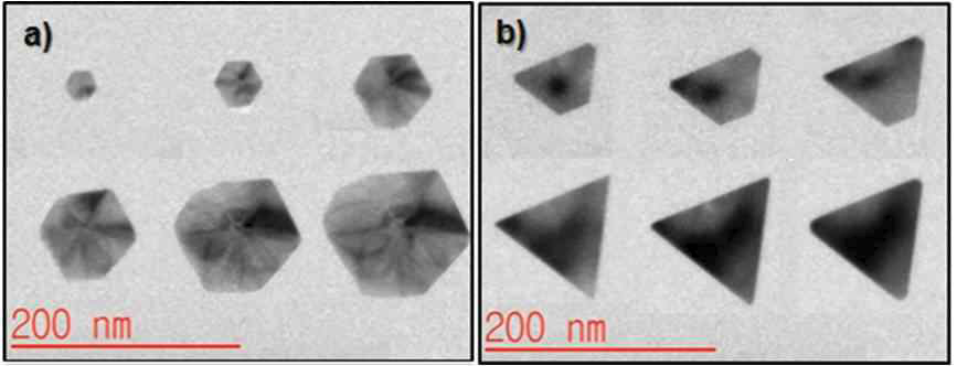 액체방 내 Au 나노입자의 성장 거동; facet 유지 (a) hexagonal plate, (b) triangle plate