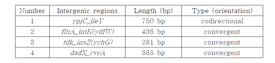 카세트 삽입을 위한 intergenic regions