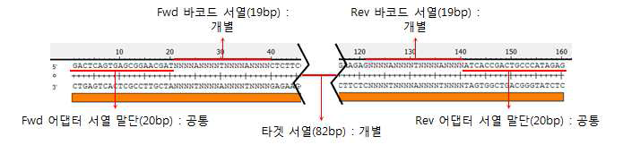 염기서열 확인 과정에서 분리된 올리고뉴클레오티드들을 회수하기 위한 올리고뉴클레오티드 디자인