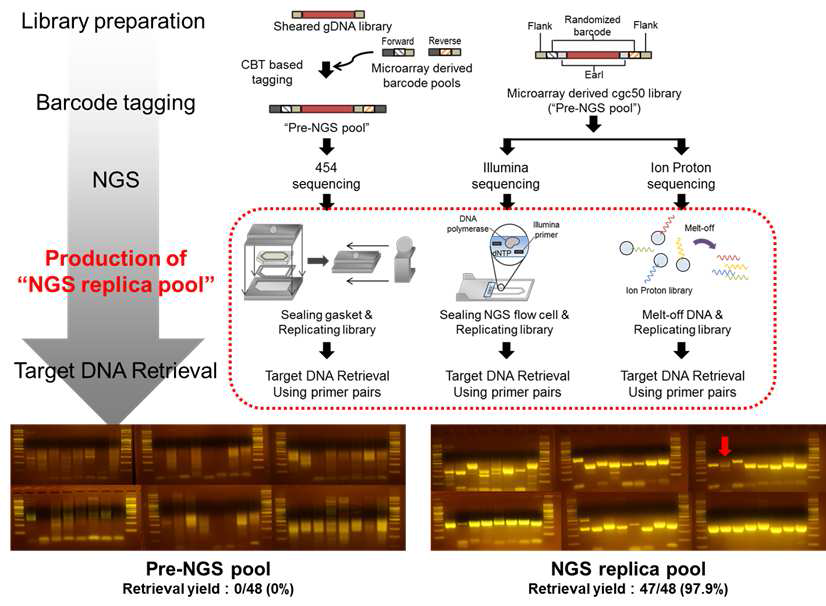 3가지 서로 다른 NGS platform에서 타겟 DNA의 선택적 회수 모식도