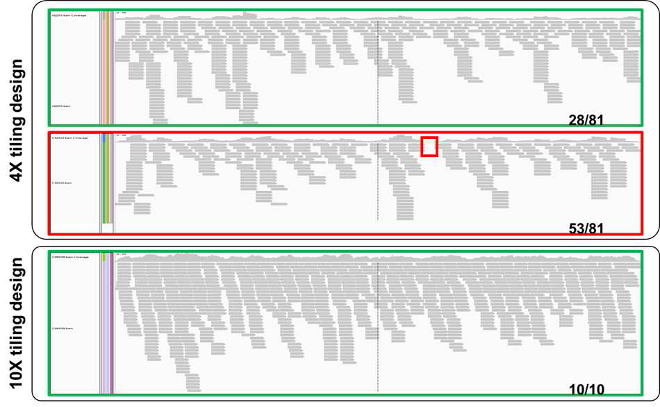 4X 디자인 및 10X디자인의 차세대 시퀀싱 결과