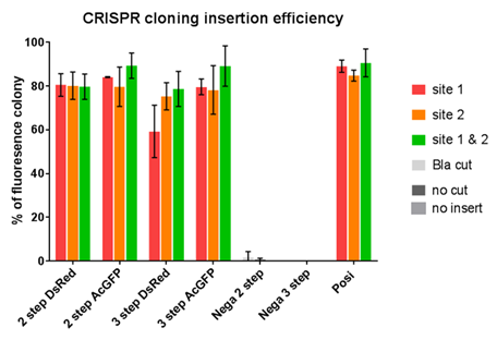 programmable nuclease를 이용한 cloning 반응 효율