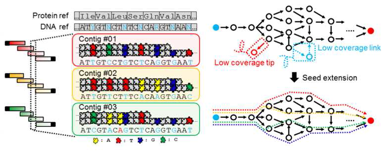 codon 조합을 이용한 full-length gene analysis 모식도