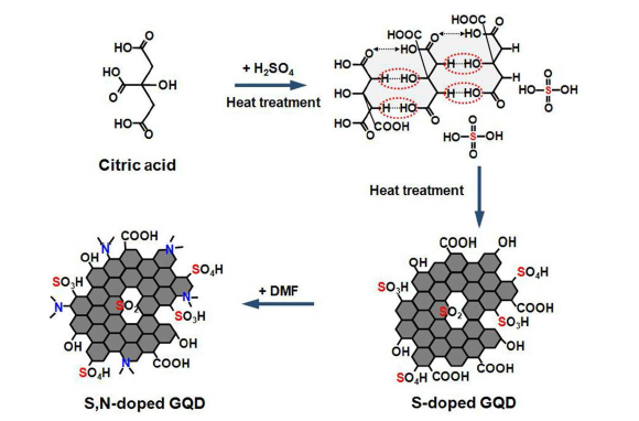 시트르산의 열처리를 이용한 S, N이 도핑된 그래핀 양자점의 합성