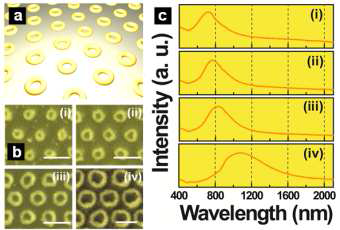 기판위에 균일하게 배열된 다양한 지름의 금 나노링과 그에 따른 표면 플라즈몬 공명 효과