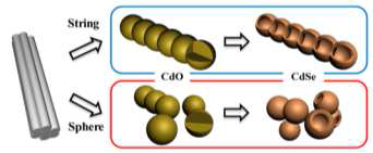 Hollow CdSe 나노입자와 나노선 형성 모식도