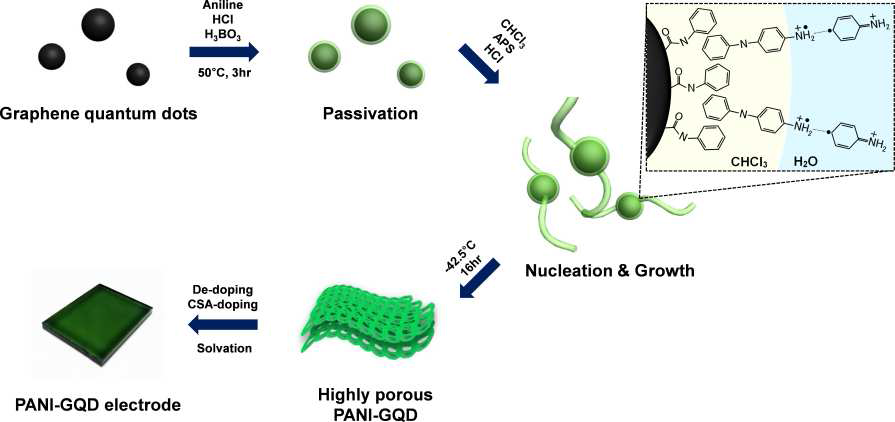 그래핀 양자점이 도입된 폴리아닐린 중합과정 및 전극 제조과정