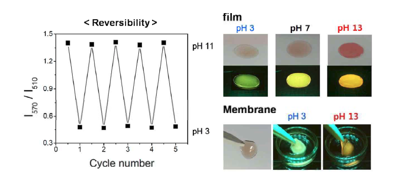 PEO-b-PPMI 필름 및 막(membrane) 가공하에서의 센싱 성능 및 cycle data