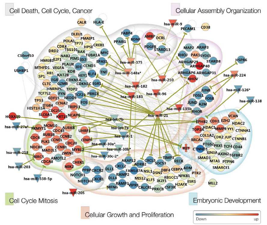 한국인 6명 폐암 환자의 핵심 유전자 Network (Kim et al., 2013)