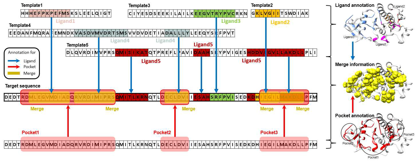 단백질 서열 정보와 포켓 정보를 타겟 단백질에 주석처리하는 방법론