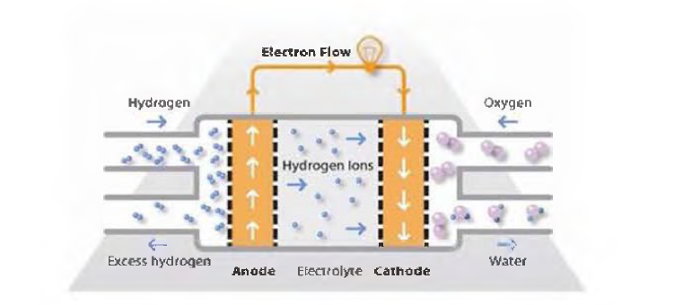 고분자 전해질 연료전지 작동 원리의 모식도