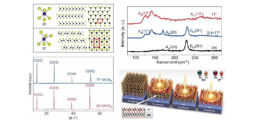 MoTe2의 구조와 X선 회절패턴, 라만측정, Homo-junction 소자제작