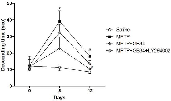 MPTP 투여 전후의 운동기능의 변화(pole test)