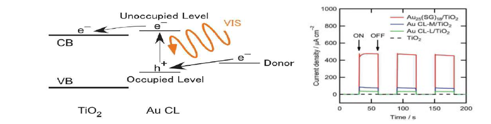 금 클러스터에서 일어나는 광유도 전하분리 모식도와 광전류 발생 그래프.