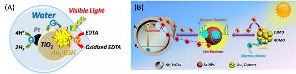 (A) 금 나노클러스터가 이종접합된 TiO2 광촉매에서의 수소발생 반응 모식도와 (B) 금속 나노입자가 함께 접합되었을 때 광전화 효율 증대 효과.