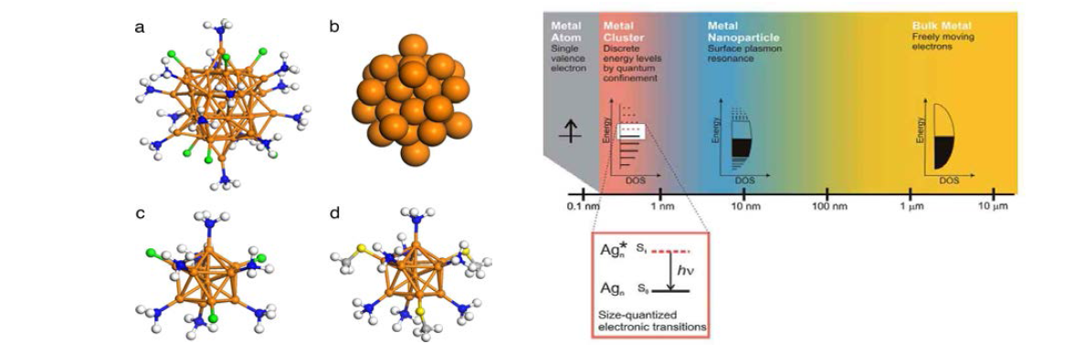 금속 나노클러스터의 구조와 금속 에너지 준위에 대한 입자 크기 효과.