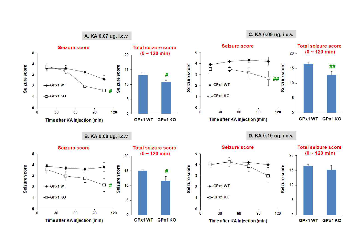 2~3월령의 야생형 생쥐 (GPx1 WT)와 GPx1 유전자 결핍 생쥐 (GPx1 KO)에서 여러 용량의 KA의 뇌실내 투여로 유도된 경련. 각 수치는 10 ~ 17 마리의 평균 ± 표준오차임.
