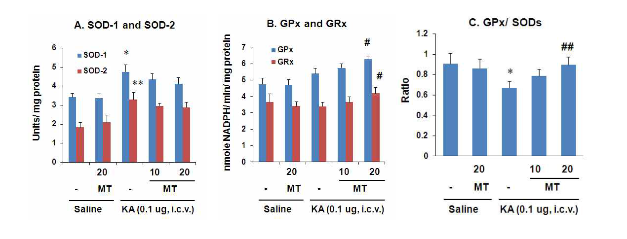 KA의 뇌실내 투여 후 해마조직에서 나타나는 내인성 항산화 효소들의 활성과 효소들간의 균형의 변화에 대한 melatonin (MT; 10, 20 mg/kg, i.p.)의 효과. 각 수치는 6 마리의 평균 ± 표준오차임.