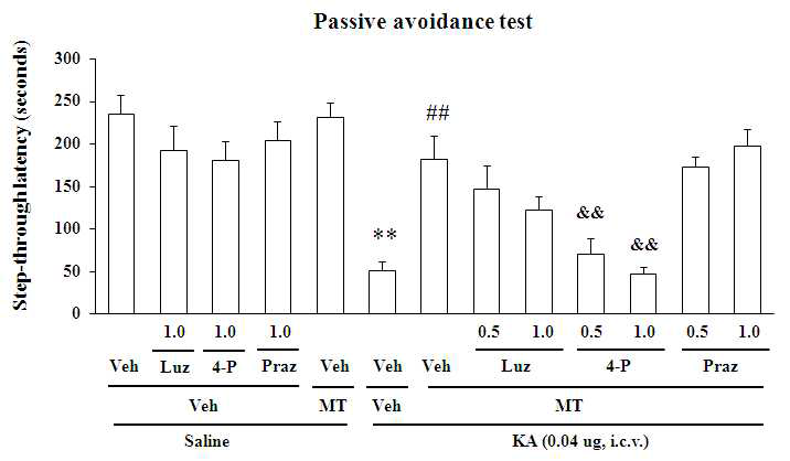 경련하 용량의 KA(0.04 μg)의 뇌실내 투여 후 나타나는 학습기억능력 저하에 대한 melatonin (MT; 10 mg/kg, i.p.)의 효과.