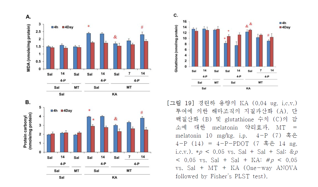 경련하 용량의 KA (0.04 ug, i.c.v.)투여에 의한 해마조직의 지질과산화 (A), 단백질산화 (B) 및 glutathione 수치 (C)의 감소에 대한 melatonin 약리효과.