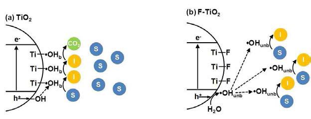 (a) 표면개질되지 않은 이산화티타늄과 (b) 불소로 표면개질된 이산화티타늄에서의 반응 메커니즘