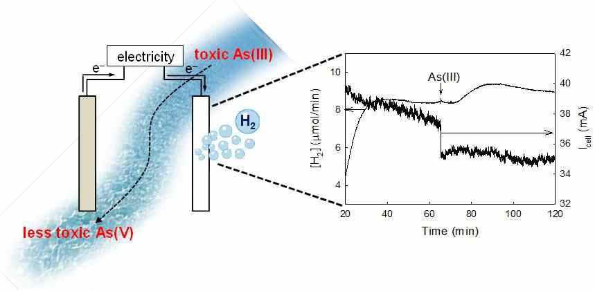 BiOx가 도핑된 이산화티타늄 anode, 스테인레스 스틸 cathode, NaCl electrolyte 기반 전기화학 시 스템에서 As(III) 주입에 의한 수소 생산 및 cell current 변화