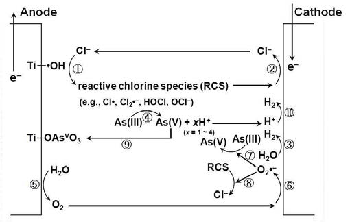 BiOx가 도핑된 이산화티타늄 anode, 스테인레스 스틸 cathode, NaCl electrolyte 기반 전기화학 시 스템에서 동시 비소 3가 산화 ․ 수소 생산 메커니즘