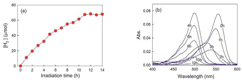 (a) 백금 입자와 음전하성 고분자로 동시 표면개질된 이산화티타늄에서의 수소 발생, (b) 로다민 B 와 분해 부산물의 흡광 스펙트럼 변화