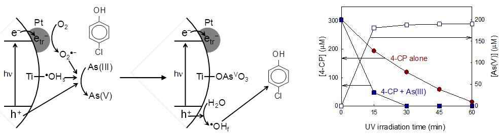 (좌) 비소 3가와 페놀계 오염물질이 동시에 존재하는 경우, 백금이 담지된 이산화티타늄에서의 산화 메커니즘 및 (우) 비소 3가의 존재 유무에 따른 4-클로로페놀의 분해 결과