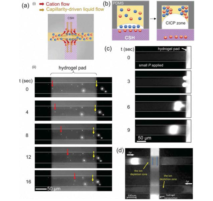 모세관 이온농도분극 현상의 발현 기작과 미세유체역학 장치 내에서의 실험 결과.