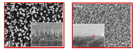 c-면 사파이어 (좌) 및 m-면 사파이어 (우) 기판위에 성장된 ZnO 나노막대