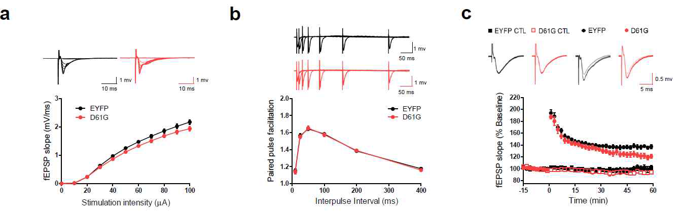 Ptpn11D61G expression in excitatory neurons impairs LTP