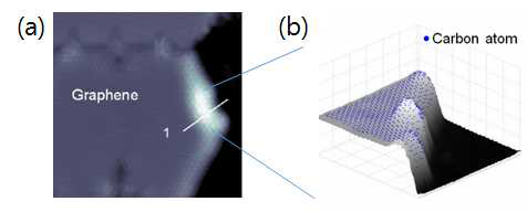 (a) STM에서 관측된 플래티넘 기판 위의 그래핀 (b) 원자모델링을 통해 찾아낸 탄소원자들의 위치 정보