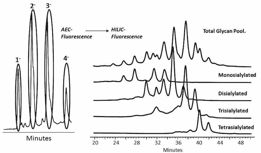 WAX-HPLC 2D 크로마토그래피 방법을 이용한 시알산 당쇄 정량 분석