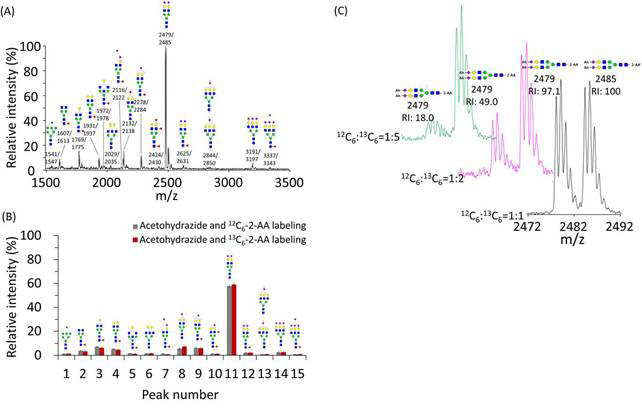 당쇄 중성화 및 동위원소 표지 화합물로의 화학적 유도체화를 통한 MALDI-TOF MS 분석 결과