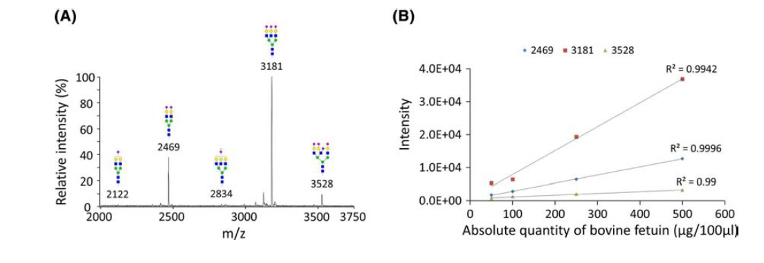 bovine fetuin의 MALDI-TOF MS 스펙트럼 및 주요 당쇄의 calibration curve