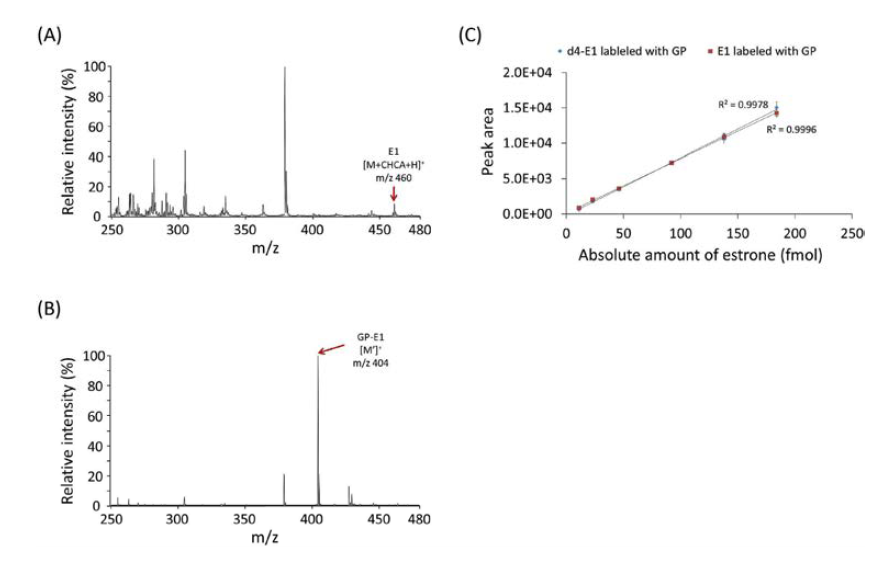GP로의 화학적 유도체화 전 후의 에스트론의 스펙트럼과 calibration curve