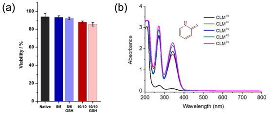 (a) 대조군 효모, 효모@CLM5/5, GSH 처리한 효모@CLM5/5, 효모@CLM10/10, GSH 처리한 효모 @CLM10/10의 생존율. (b) PDMAEM-co-PPDEM로 LbL을 한 후에 남은 용액의 자와선-가시광선 분광 흡수 그래프.