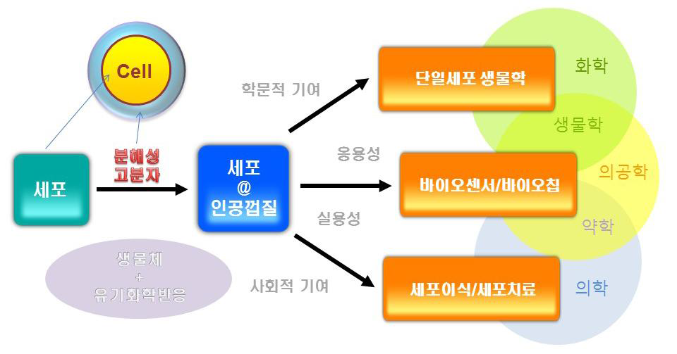 본 연구의 응용성과 기대효과