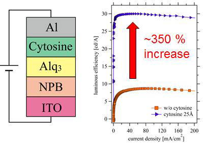 Cytosine을 전자주입층으로 사용 한 유기발광소자의 구조 및 발광효율 그래프