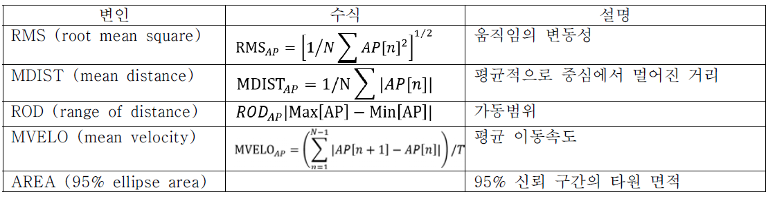 균형성 평가 변인