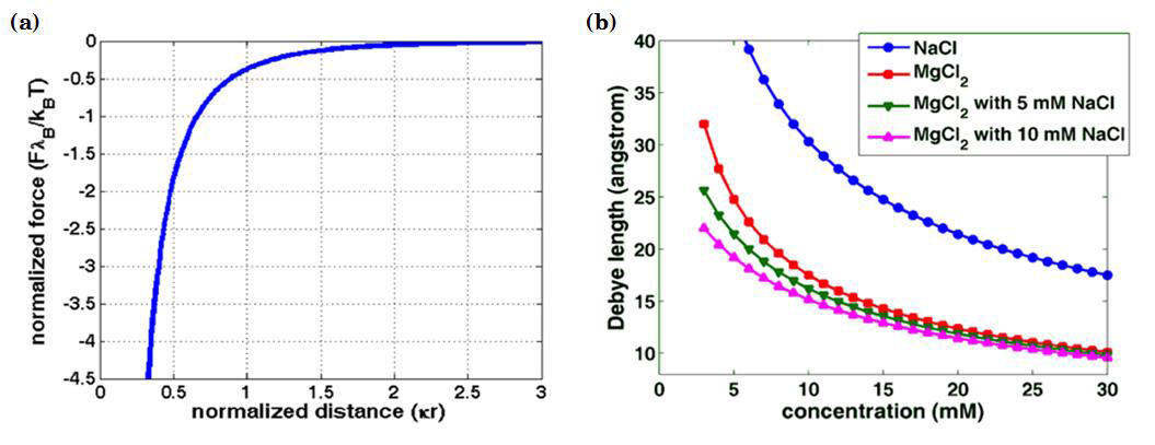 정전기력 해석 모델. (a) 전하간 거리와 반발력 사이의 관계, (b) 염농도에 따른 Debye length 변화