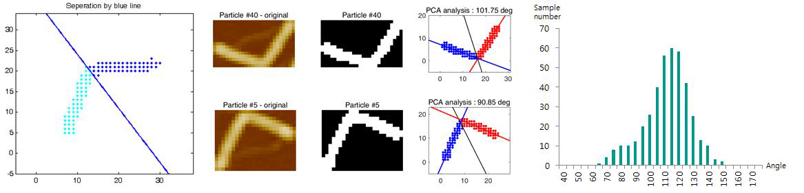 주성분 분석을 통한 개별 구조물의 굽힘각 측정 및 AFM이미지 전체 구조물에 대한 자동 분석 결과