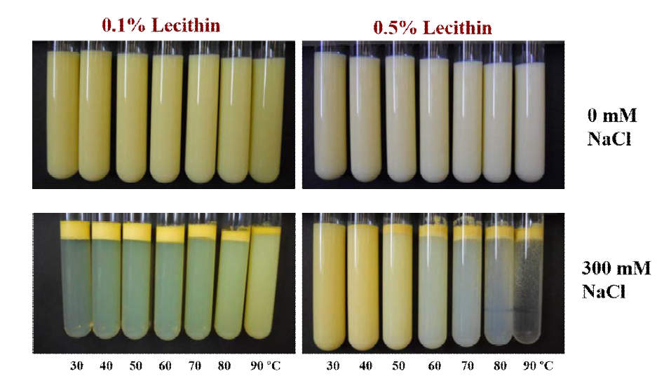 Photographs of 2.5 wt% orange oil-in-water emulsions stabilized by SMP and different amount of lysolecithin after heat treatment in the presence of 0 and 300 mM NaCl.